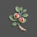 Ashwagandha KSM-66®